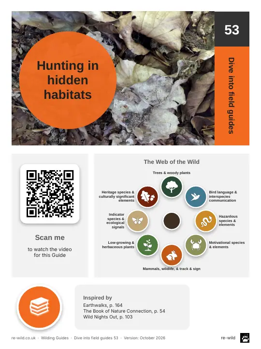 Front of the Hunting in hidden habitats activity guide