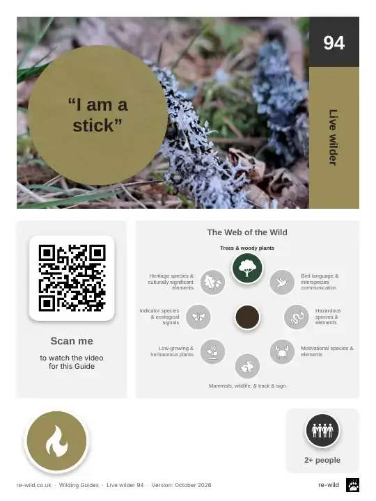 Front of the “I am a stick” activity guide