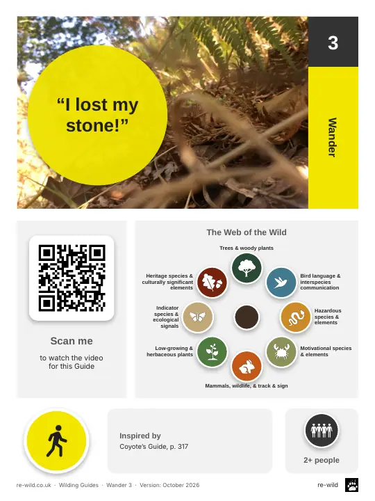 Front of the “I lost my stone!” activity guide