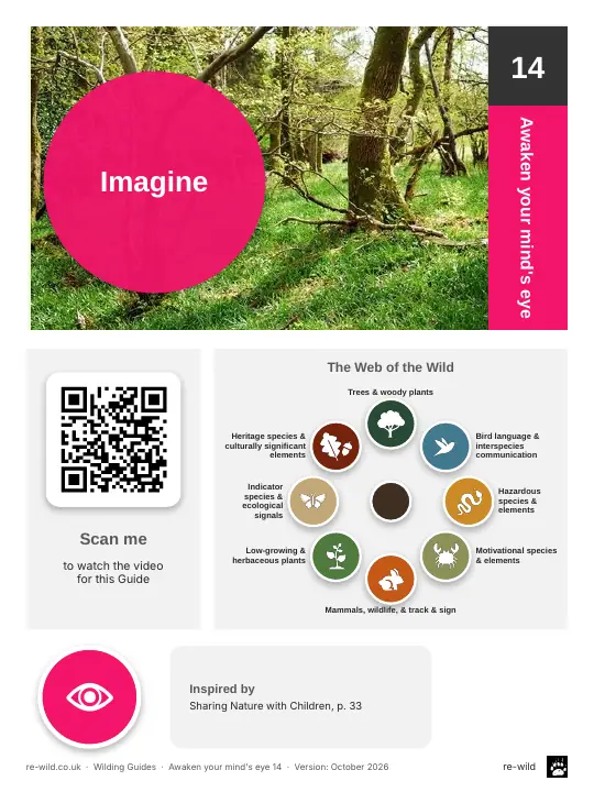 Front of the Imagine activity guide