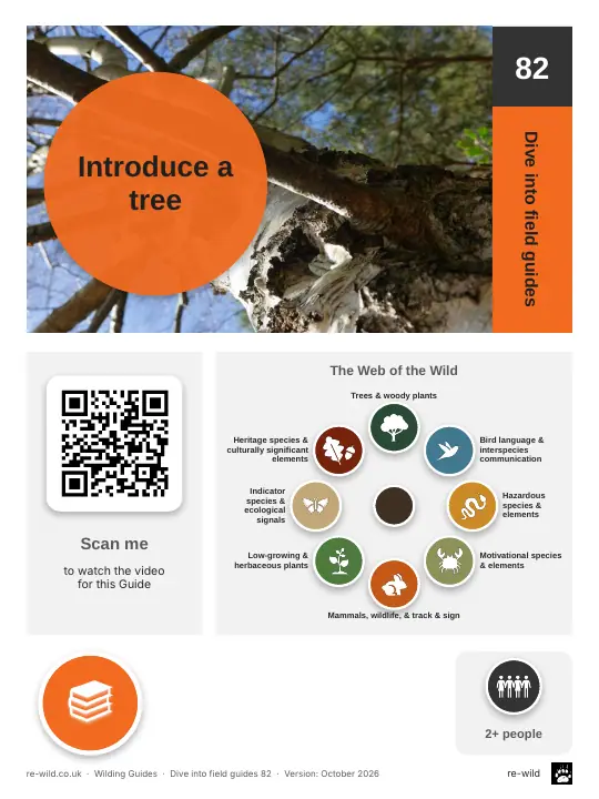 Front of the Introduce a tree activity guide