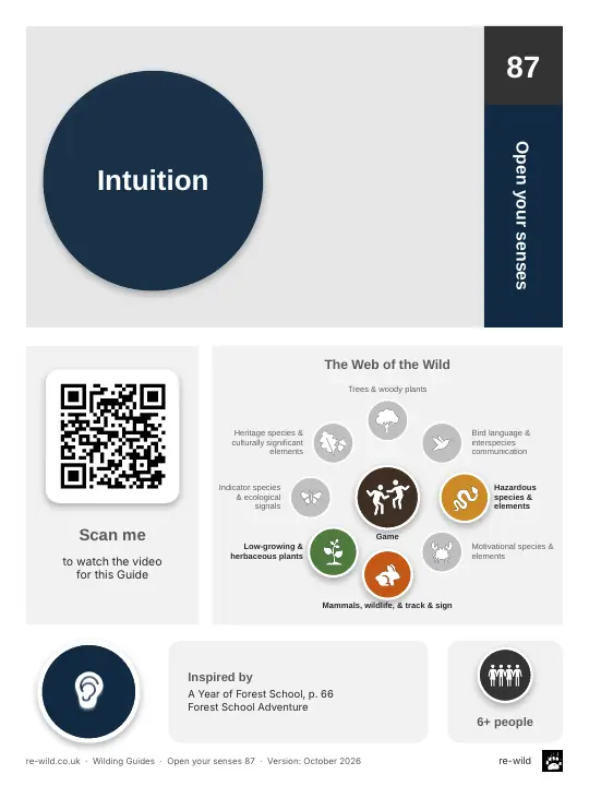 Front of the Intuition activity guide
