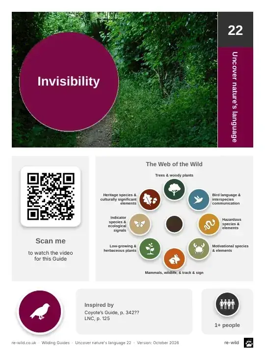 Front of the Invisibility activity guide