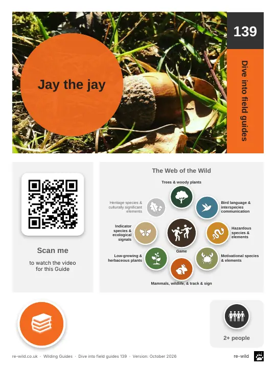 Front of the Jay the jay activity guide