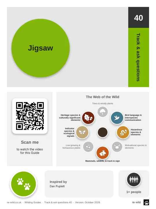 Front of the Jigsaw activity guide