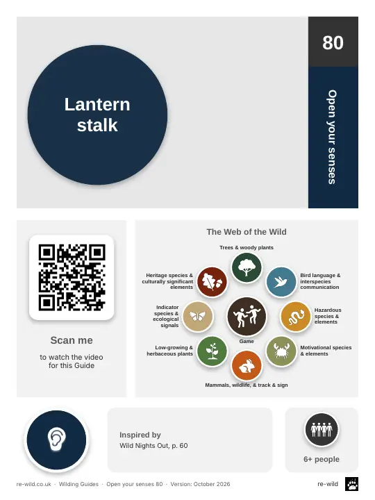 Front of the Lantern stalk activity guide