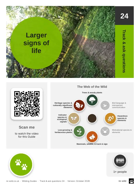 Front of the Larger signs of life activity guide