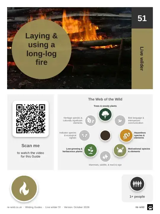 Front of the Laying & using a long-log fire activity guide