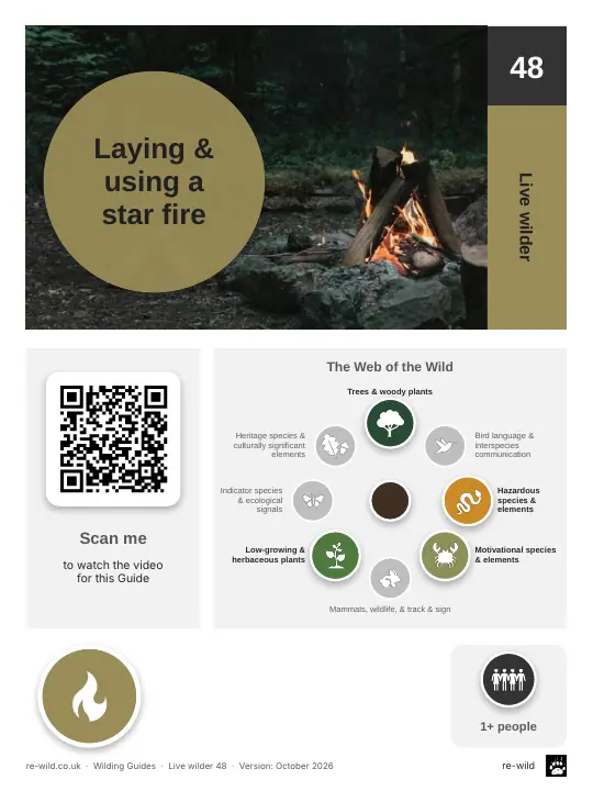 Front of the Laying & using a star fire activity guide