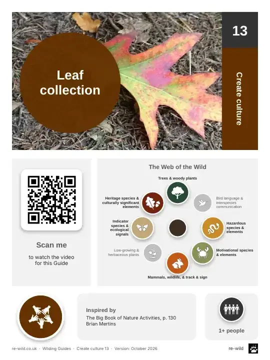 Front of the Leaf collection activity guide