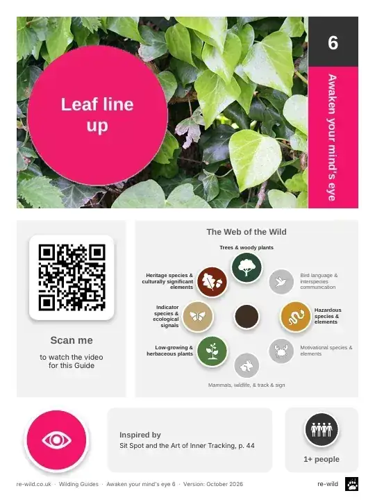 Front of the Leaf line up activity guide