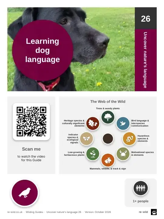 Front of the Learning dog language activity guide