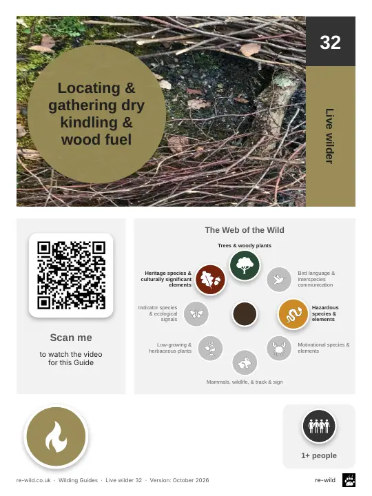 Front of the Locating & gathering dry kindling & wood fuel activity guide