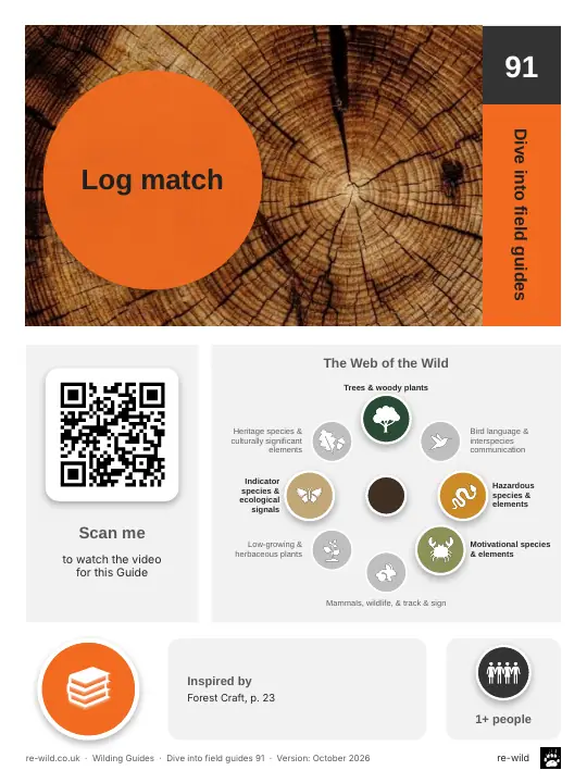 Front of the Log match activity guide
