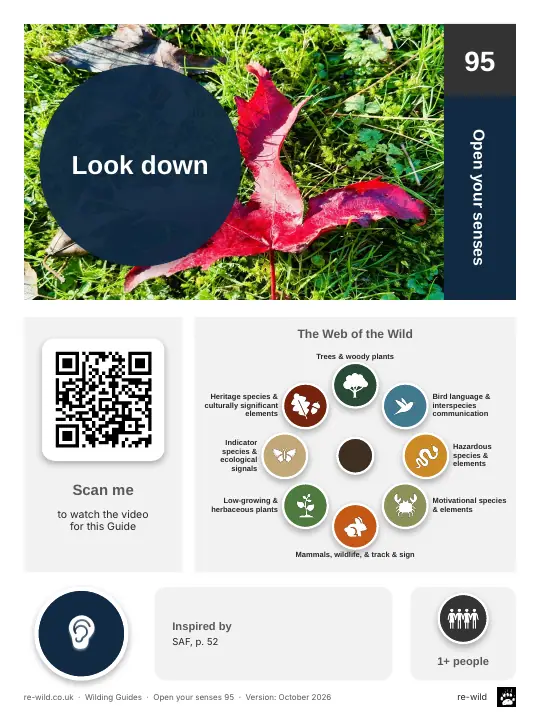 Front of the Look down activity guide