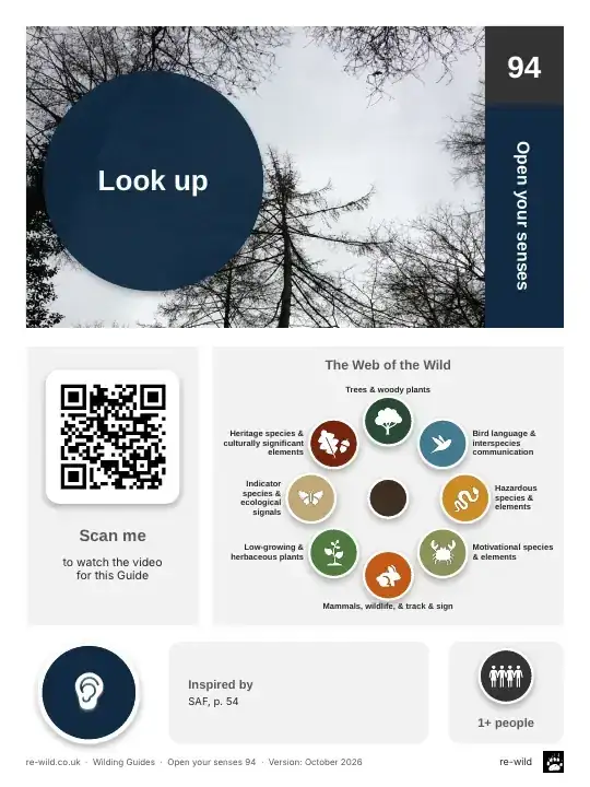 Front of the Look up activity guide