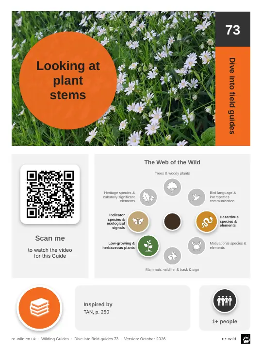 Front of the Looking at plant stems activity guide