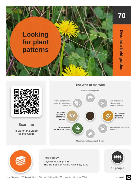 Front of the Looking for plant patterns activity guide