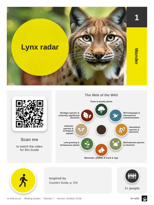 Front of the Lynx radar activity guide