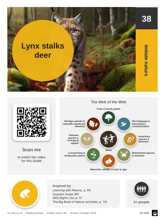 Front of the Lynx stalks deer activity guide