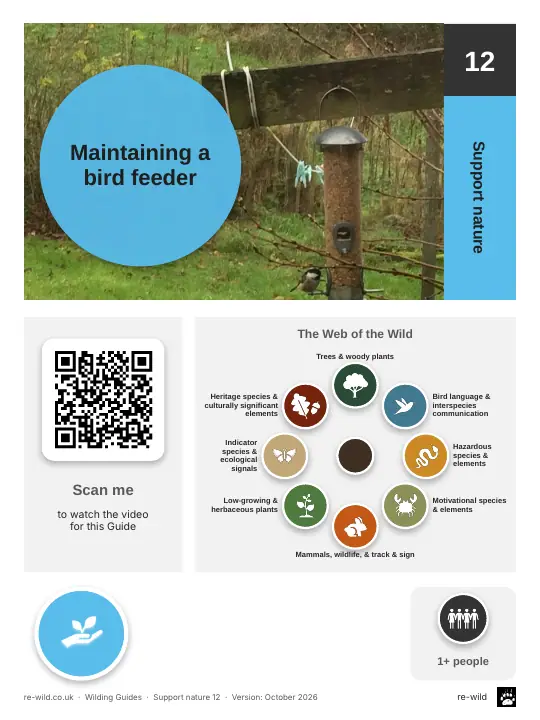 Front of the Maintaining a bird feeder activity guide