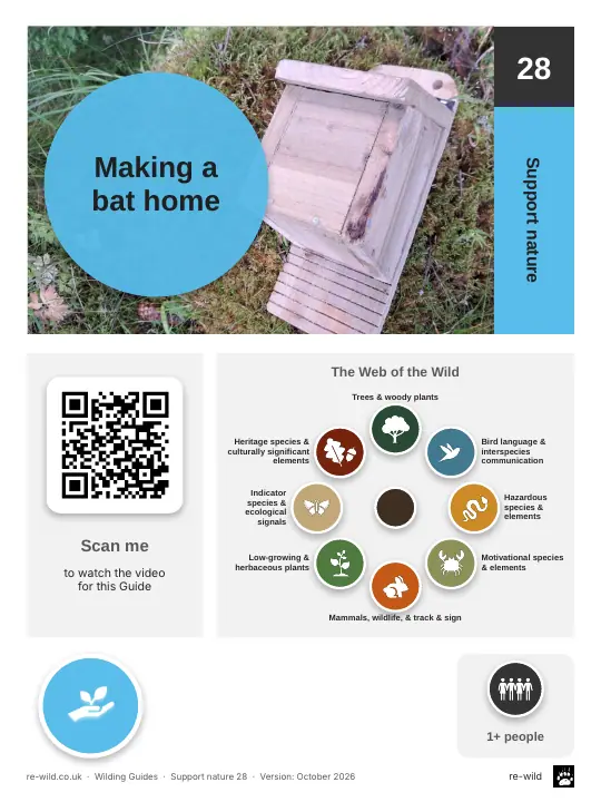 Front of the Making a bat home activity guide