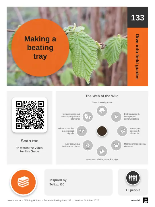 Front of the Making a beating tray activity guide