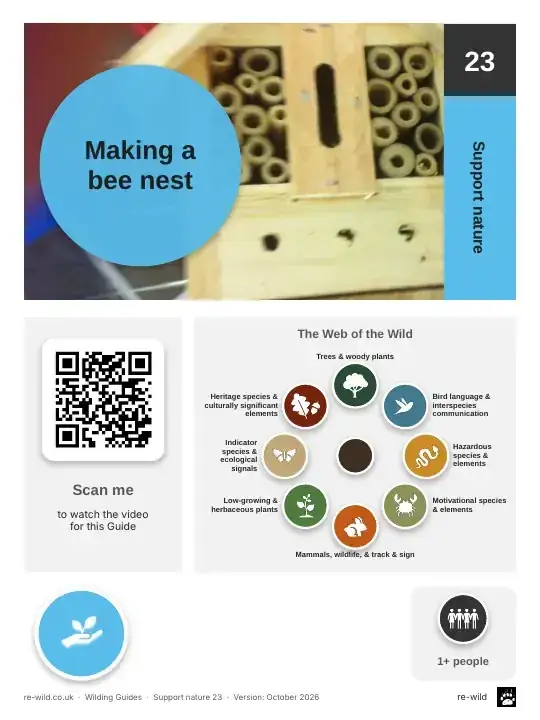 Front of the Making a bee nest activity guide
