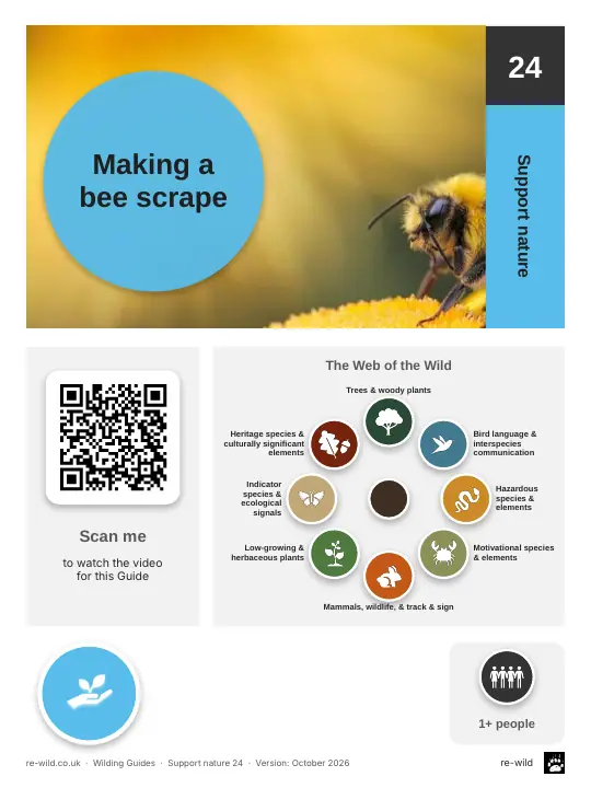 Front of the Making a bee scrape activity guide