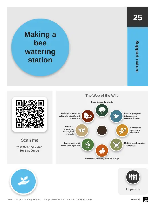 Front of the Making a bee watering station activity guide