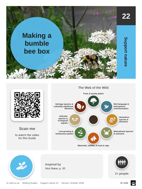 Front of the Making a bumble bee box activity guide