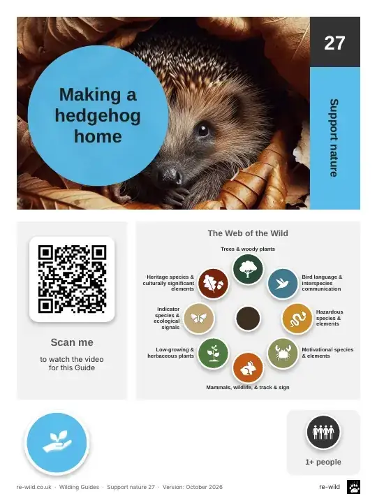 Front of the Making a hedgehog home activity guide