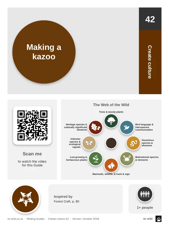 Front of the Making a kazoo activity guide
