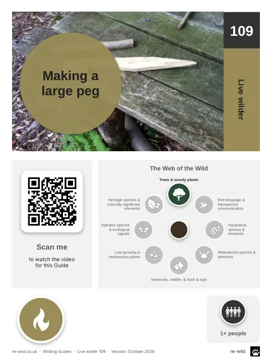 Front of the Making a large peg activity guide