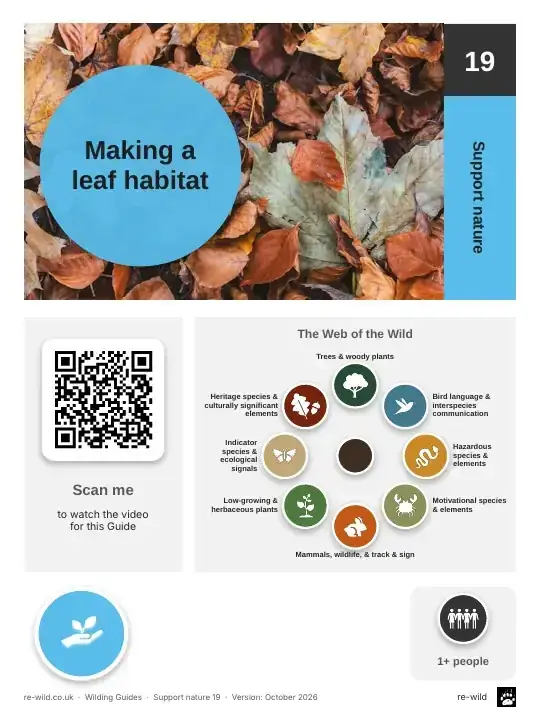 Front of the Making a leaf habitat activity guide