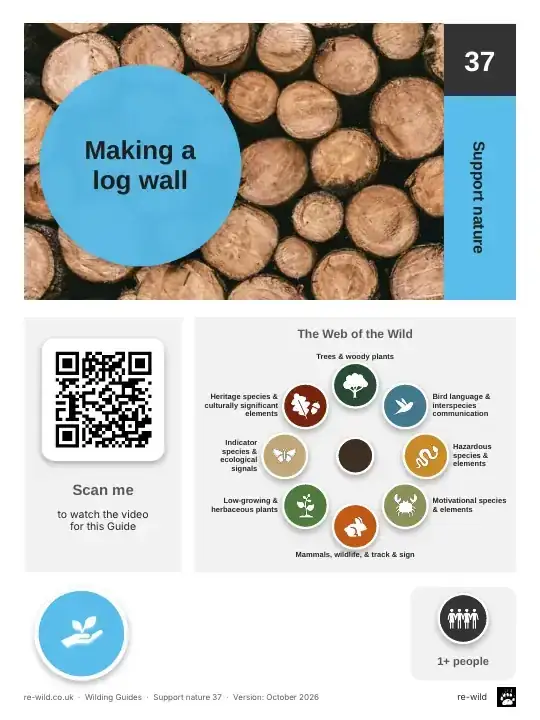 Front of the Making a log wall activity guide