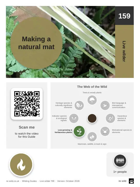 Front of the Making a natural mat activity guide