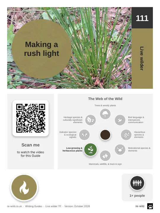 Front of the Making a rush light activity guide