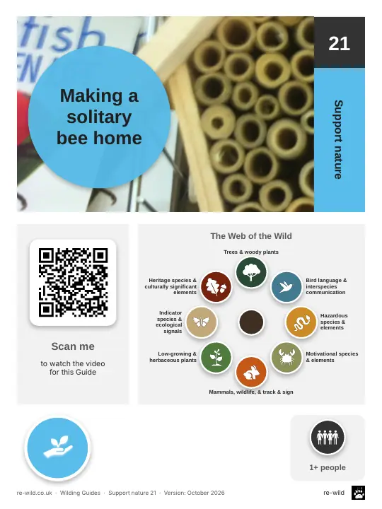 Front of the Making a solitary bee home activity guide