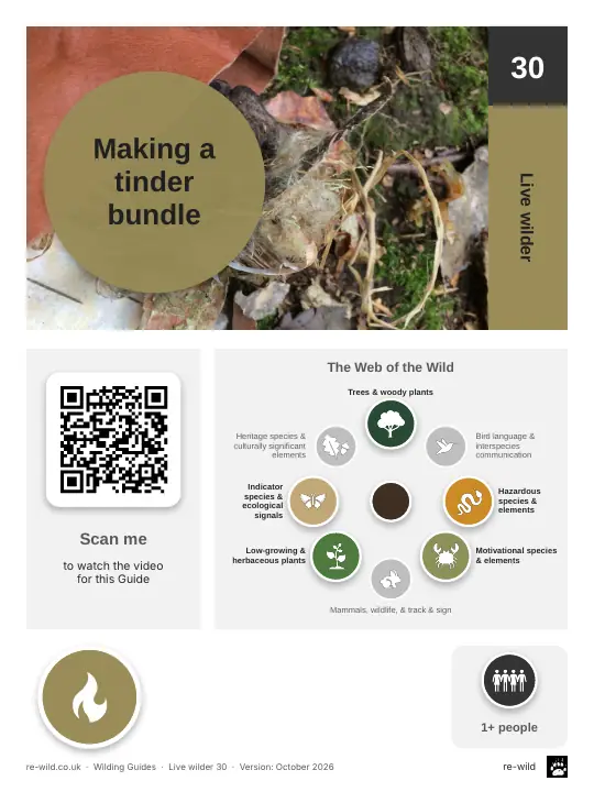 Front of the Making a tinder bundle activity guide