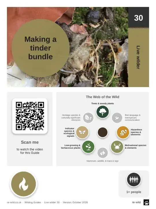 Front of the Making a tinder bundle activity guide