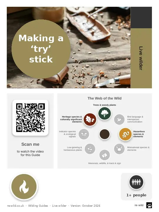 Front of the Making a ‘try’ stick activity guide