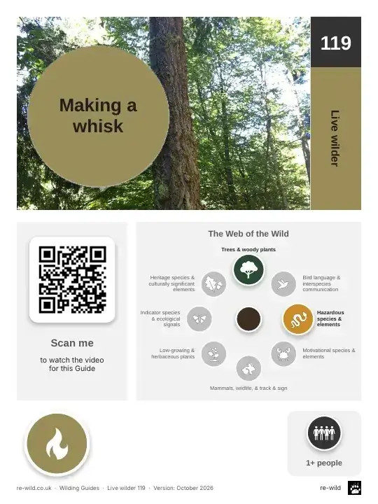 Front of the Making a whisk activity guide