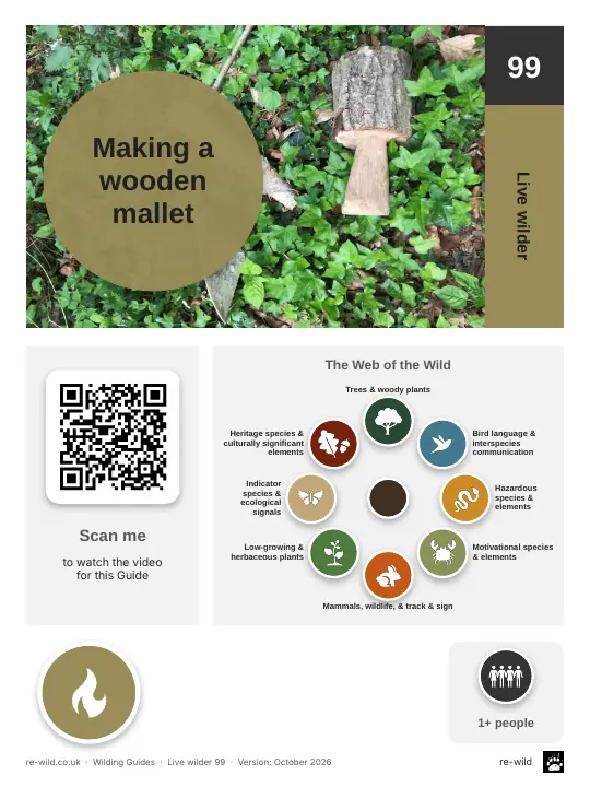 Front of the Making a wooden mallet activity guide