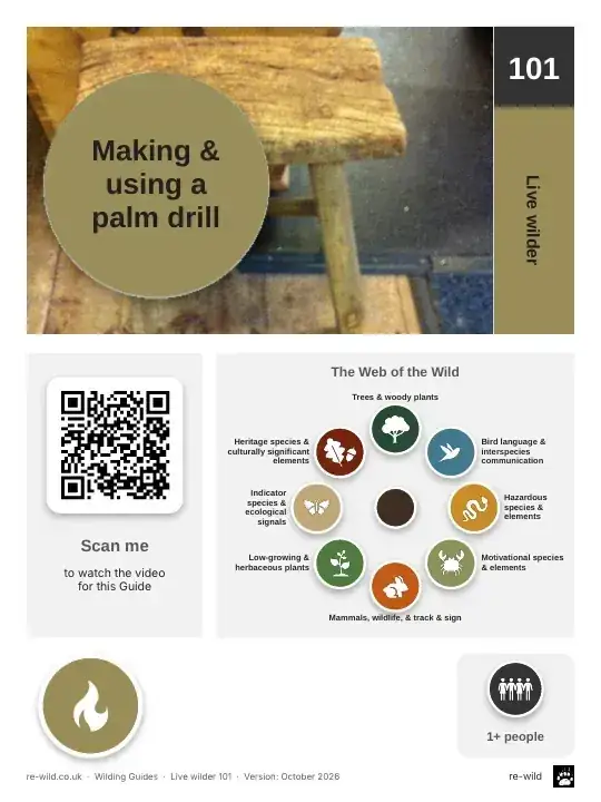 Front of the Making & using a palm drill activity guide