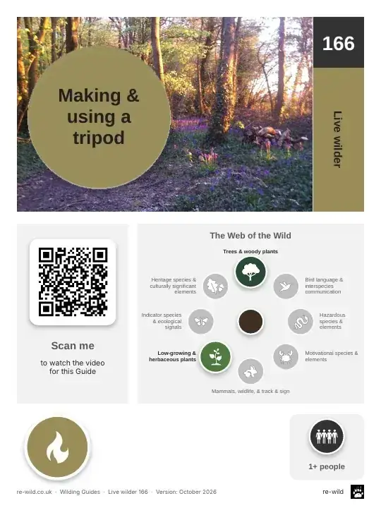 Front of the Making & using a tripod activity guide