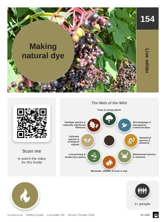 Front of the Making natural dye activity guide