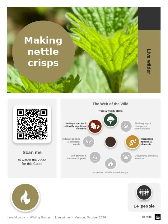 Front of the Making nettle crisps activity guide