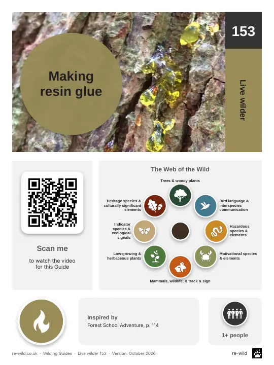 Front of the Making resin glue activity guide