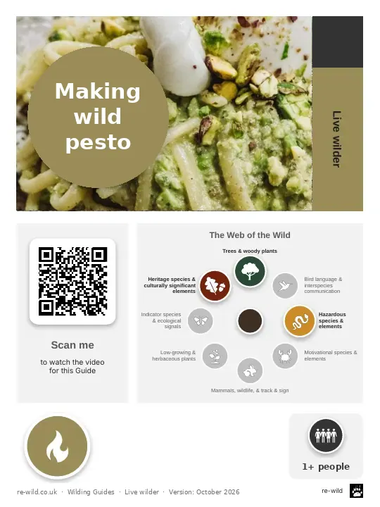 Front of the Making wild pesto activity guide